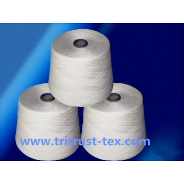 (2/30s) Spun Polyester Yarn Sewing Yarn